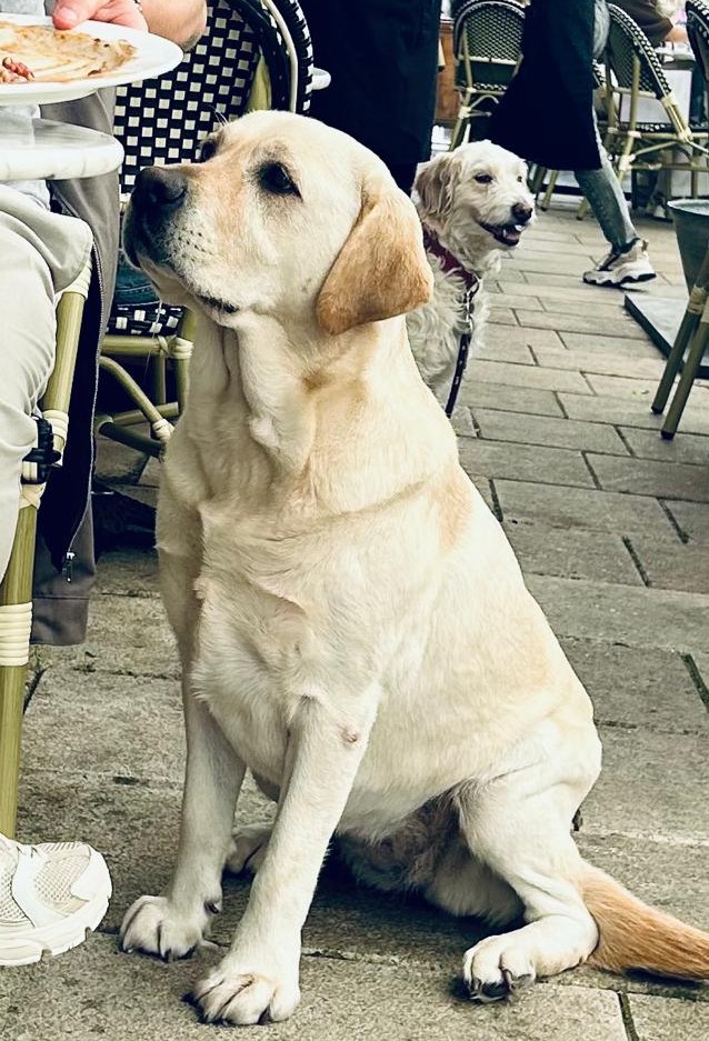 De originele foto van Noekie